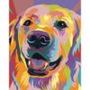 Опт-картина / Paint by number CAKADU 40x50 Rainbow Retriever