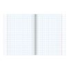 Альт / Notebook A5, 48 l., Bracket, cage, selective varnish, "LUX" / 10 pcs.