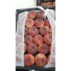 Peaches flat