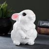 Хорошие сувениры / Piggy bank "Bunny is worth"