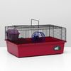 Пижон / Dude / Cage for rodents No. 4, with a floor, 37 x 26 x 18 cm, ruby