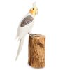Decor and Gift / Wooden figurine "Corella" 32 cm