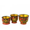 Золотая Хохлома / Spice set, 5 pieces