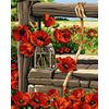 ВанГогВоМне / VanGogVoMne / Paint by number "Fresh poppies in a bank" 40x50 cm