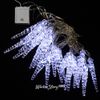 Kaemingk / LED string Ice icicles 24 cold white LED lights 4.6 m, transparent PVC, controller, IP44