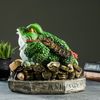 Хорошие сувениры / Piggy bank "Frog", green