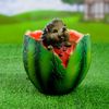 Хорошие сувениры / Shaped pots "Watermelon"