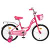 GRAFFITI / Premium Girl Bicycle