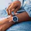 Timex / Đồng hồ Waterbury TW2R69700VN