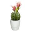 Kaemingk / Artificial potted plant Cactus Rebucia Pink 24 cm