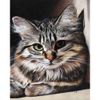 Опт-картина / Peinture par numéros 40x50 Chat gris