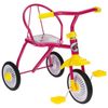 Bicycle "Micio TR-311"
