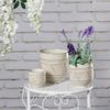 Kaemingk / Set of ceramic pots Saas Fee 8-14 cm, 3 pieces