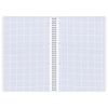BRAUBERG / Notebook A4, 96 sheets, ECO, comb, cage, cardboard cover, ONE COLOR / 8 pcs.