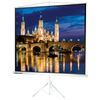 The projection screen on a tripod (180х180 cm), matte, 1:1, BRAUBERG "TRIPOD"