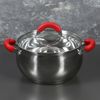 Доляна / Doliana / Casserole "Werner", 2.5 l, d = 18 cm, with glass lid