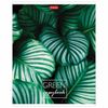 HATBER / Notebook А5 96l. bracket, cage, cardboard cover, "MOREgreen" / 30 pcs.