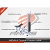 ARMS / Seated Calf Machine