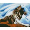 Опт-картина / mosaico de diamantes, 40x50, diamantes de imitación cuadrados Gatito