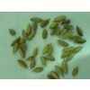Green cardamom
