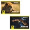 BRAUBERG / Album zum Zeichnen "Wilde Tiere" (2 Typen), 40 Blatt A4, 200x283 mm, Heftklammer, Kartoneinband