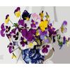 ВанГогВоМне / VanGogVoMne / Paint by number "Pansies in a circle" 40x50 cm