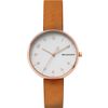 Skagen / Наручные часы Signatur SKW2624