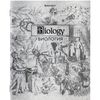 BRAUBERG / Exercise books, 12-PIECE SET, "SILVER", 48 sheets, with silver cover