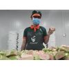 DRIED GUAVA FROM THE PRODUCER FACTORY