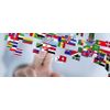 Administrative translation (acts of civil status, driver's license certificates, certificates, police clearance certificates)