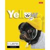 HATBER / Notebook A5, 96 sheets, staple, cage, selective varnish, "YELLOW" / 12 pcs.