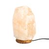 ERGOPOWER /  Salt lamp Ergopower ER 502