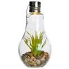 Kaemingk / Solar Pendelleuchte Flora Solarleuchte 22 cm mit grüner Blume, IP44
