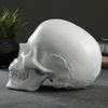 Хорошие сувениры / Piggy bank "Skull"