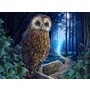 Prime 3D / Stereo puzzle "The way of magic"