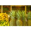 Bananas, pineapples