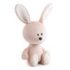 BUDI BASA / Stuffed toy Hare Antosha