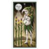 GamesDealer / Tarot Cards: "Deviant Moon Tarot by Patrick Valenza"