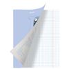 BRAUBERG / Notebook subject PASTEL 48 sheets, cardboard cover, INFORMATICS, cage, tip / 10 pcs.