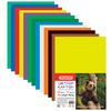 Cardboard A4 colored uncoated (matte), 24 sheets in 12 colors, PYTHAGORAS, 200х283 mm