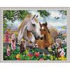 Опт-картина / Diamantmosaik 40x50, runde Strasssteine Treffen von Pferden und Vögeln