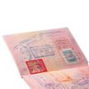 Hülle für ein Passblatt, 128x87 mm, PVC, transparent, DPS