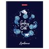 BRAUBERG / Diary 5-11 grade 48 l., Hard, glossy lamination, with a tip, "Cat and space" / 10 pcs.