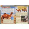 Умка / Umka / Encyclopedia "Farm Animals"