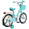 GRAFFITI / Premium Girl Bicycle