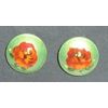 Earrings with hand painted and varnished diameter 15 mm