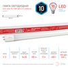 ЭРА / LED tube lamp Eco, 10 W, 25000 h, 600 mm, neutral white, ECO LED T8-10W-840-G13-600mm