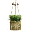 Kaemingk / Artificial plant in flowerpots Cyperus 12 cm