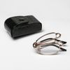 Сималенд /  Corrective glasses foldable in a case