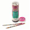 Pencil obstruction BRUNO VISCONTI "HappyGraphix", 1 item "Cartoons. Cat", HB